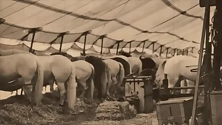 Diabolical Lantern Entertainment Presents 'The Dragonfly' Scene 3 Pt.1